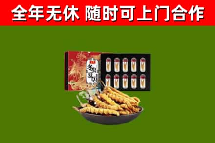 阳谷回收冬虫夏草价格